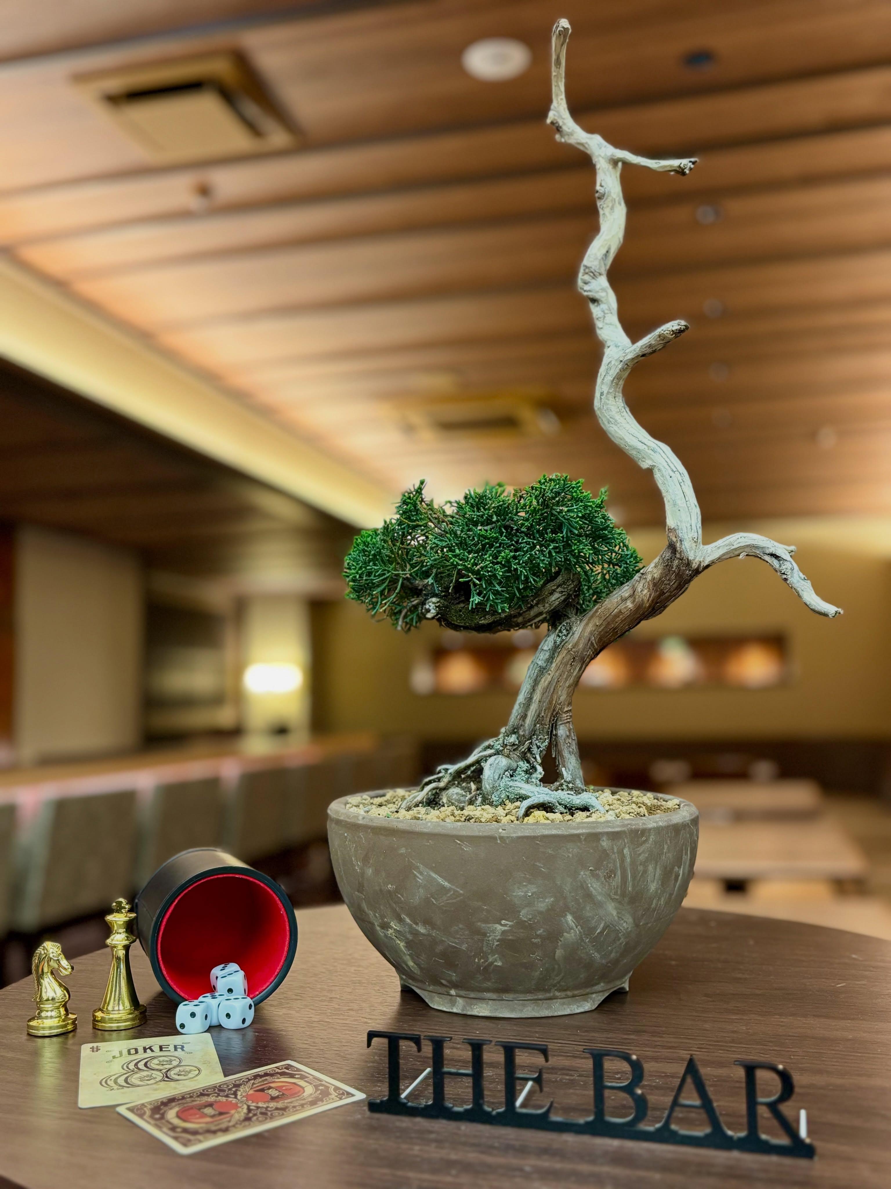 最新情報画像