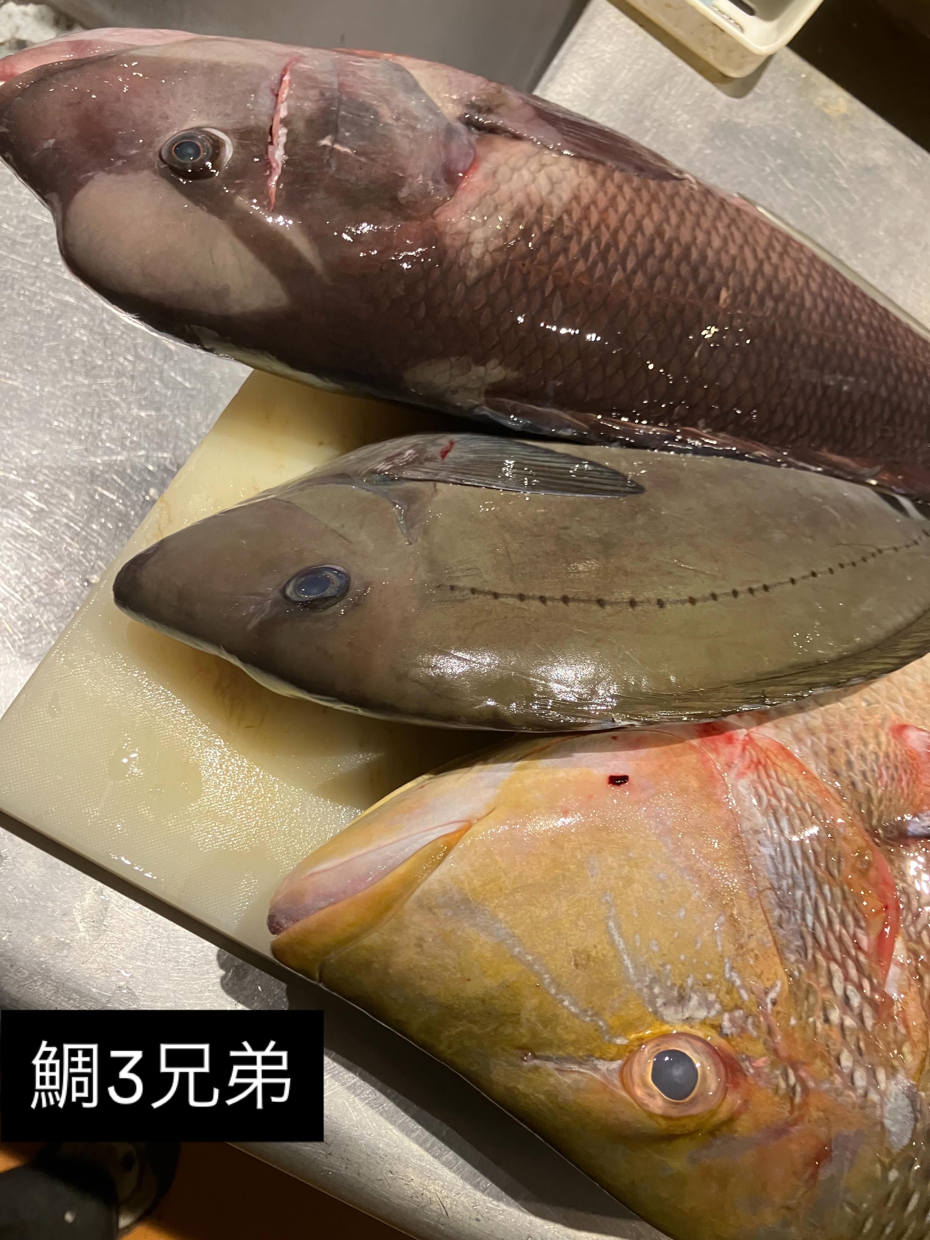 最新情報画像