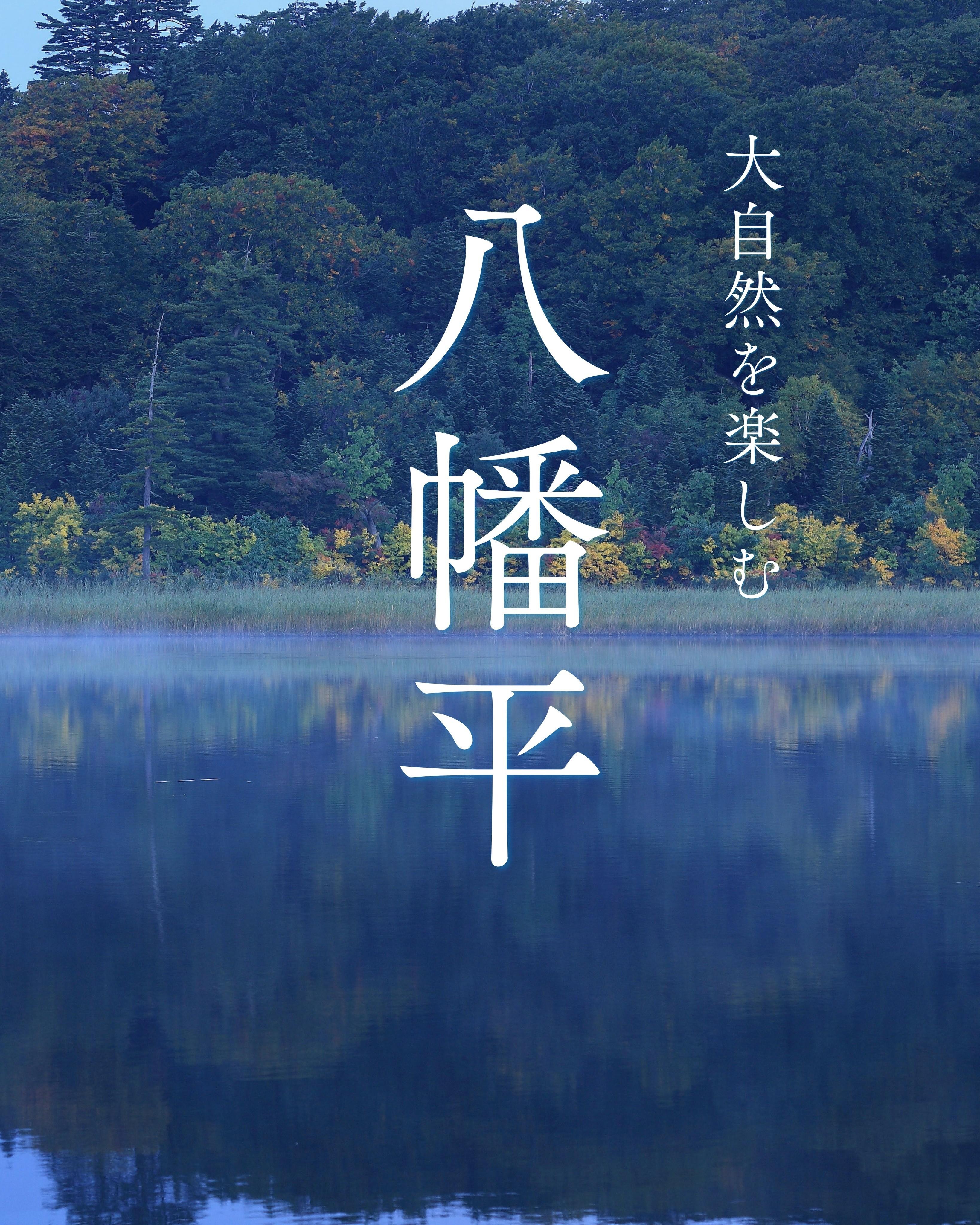 最新情報画像