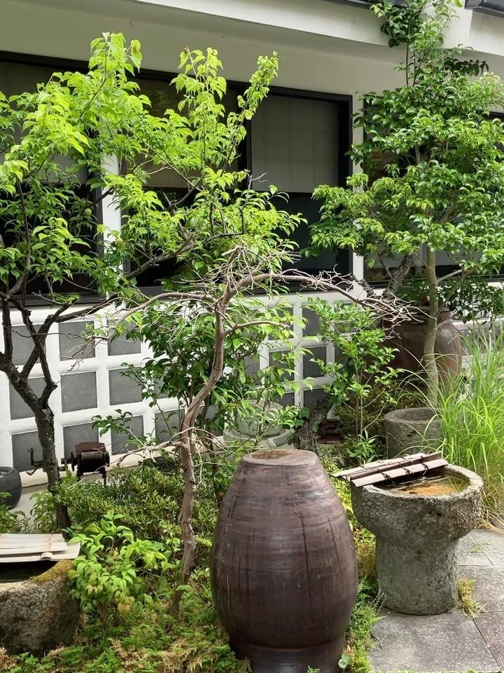 最新情報画像