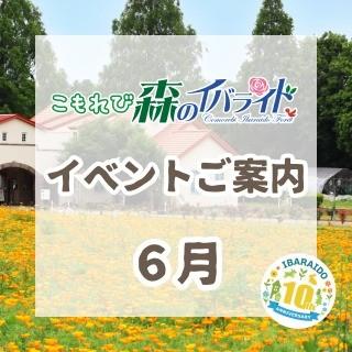 最新情報画像