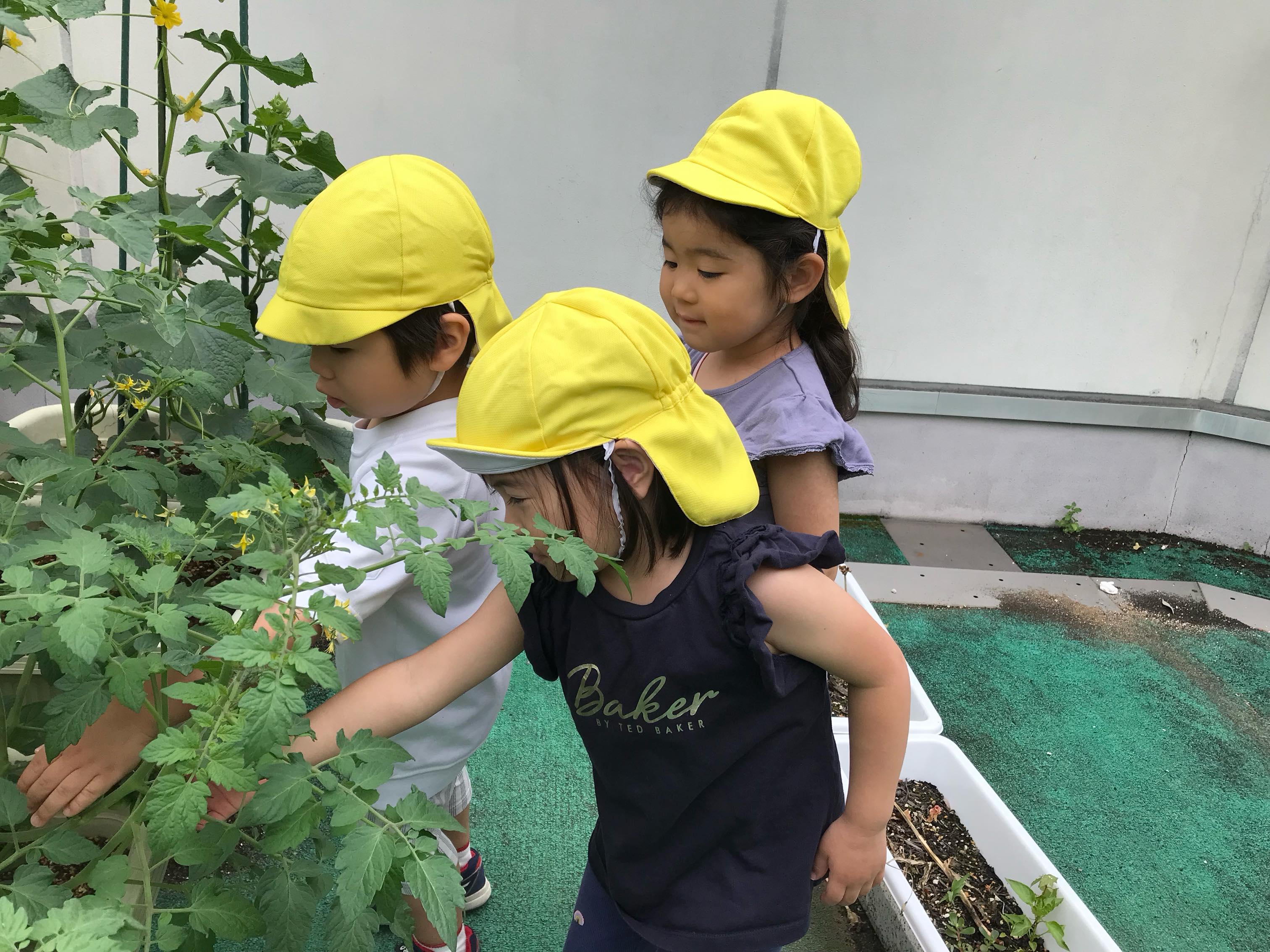 最新情報画像