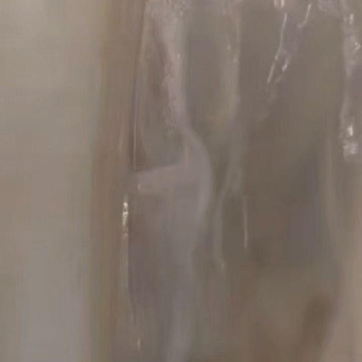 最新情報画像