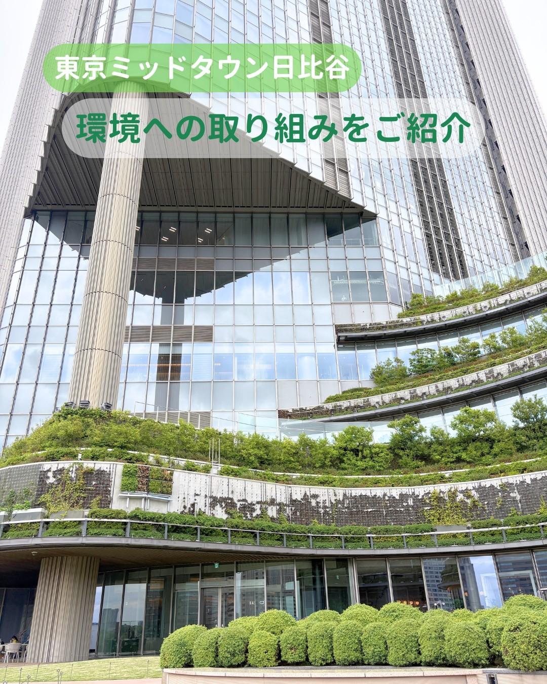 最新情報画像