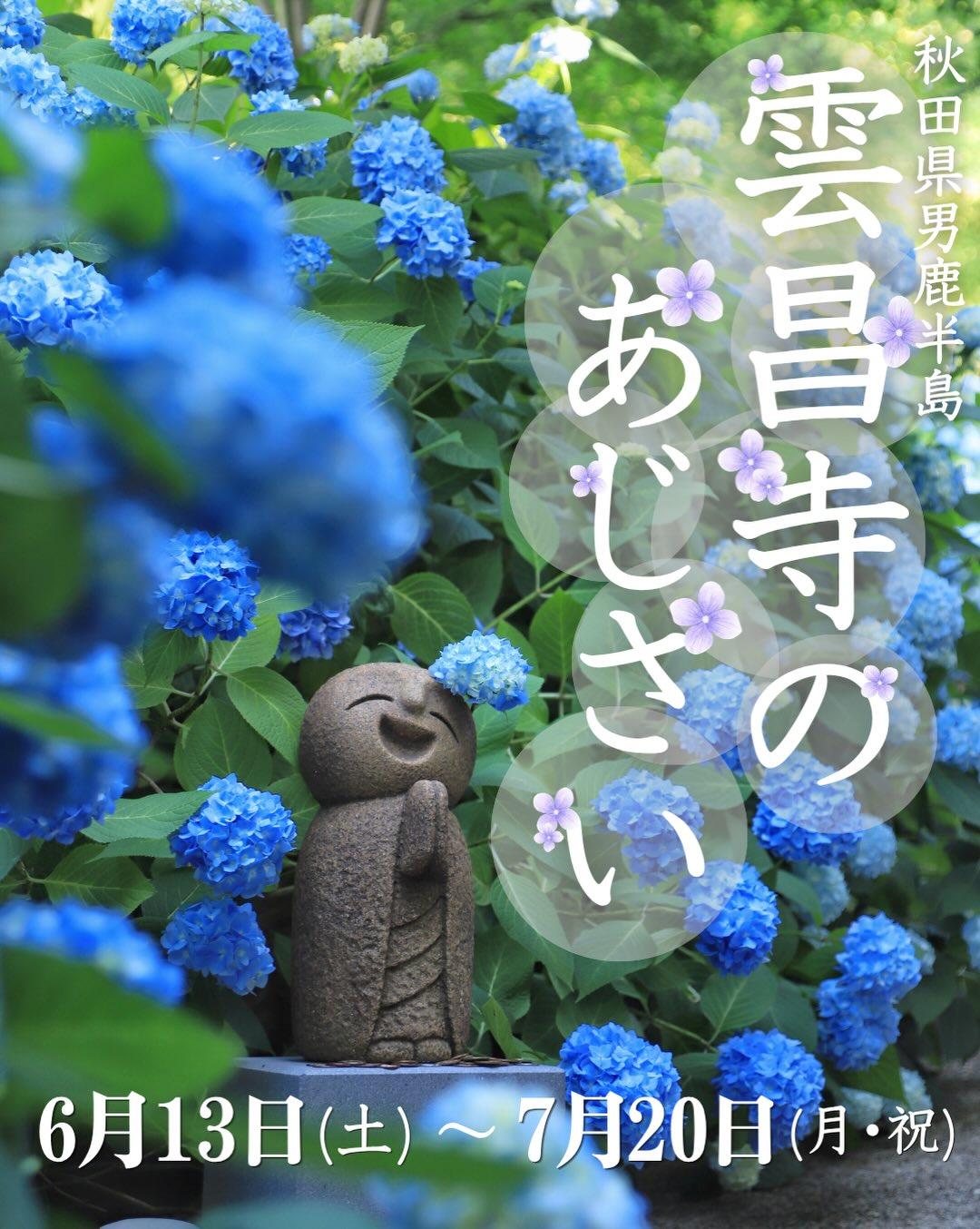 最新情報画像