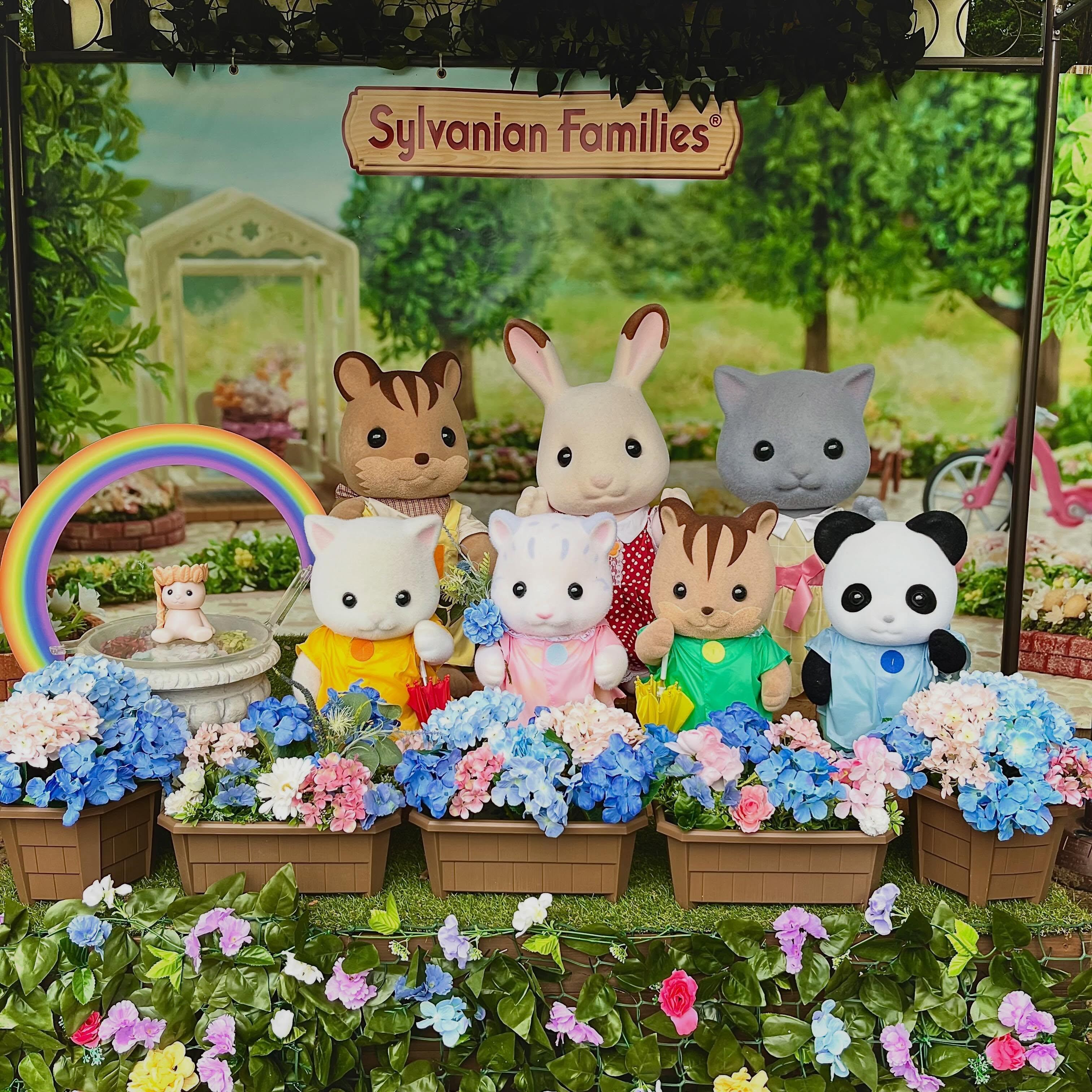 最新情報画像
