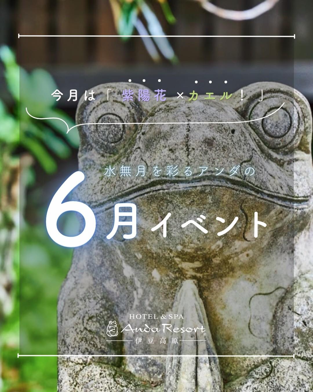 最新情報画像