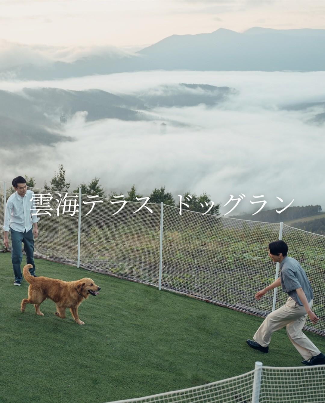 最新情報画像