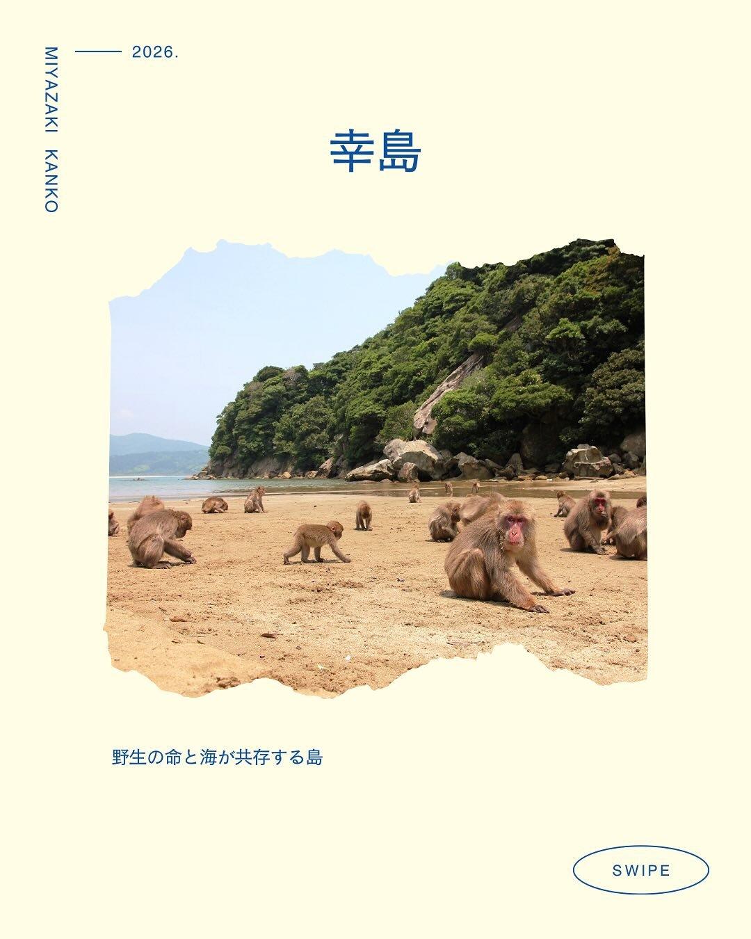 最新情報画像