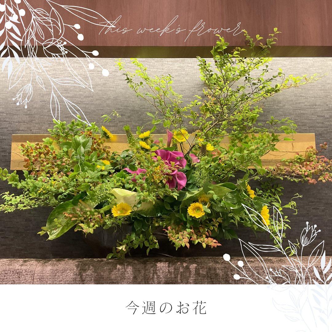 最新情報画像