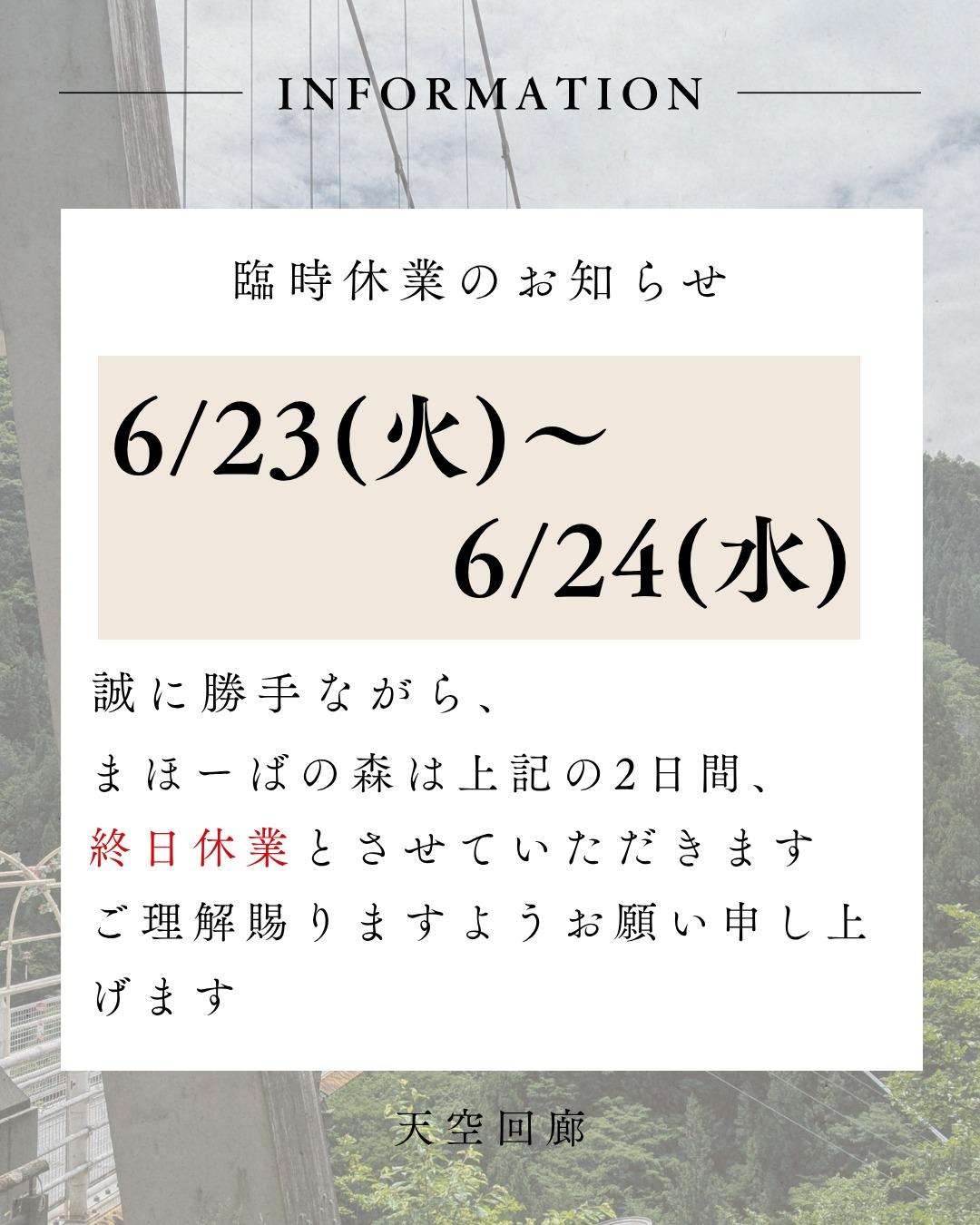 最新情報画像