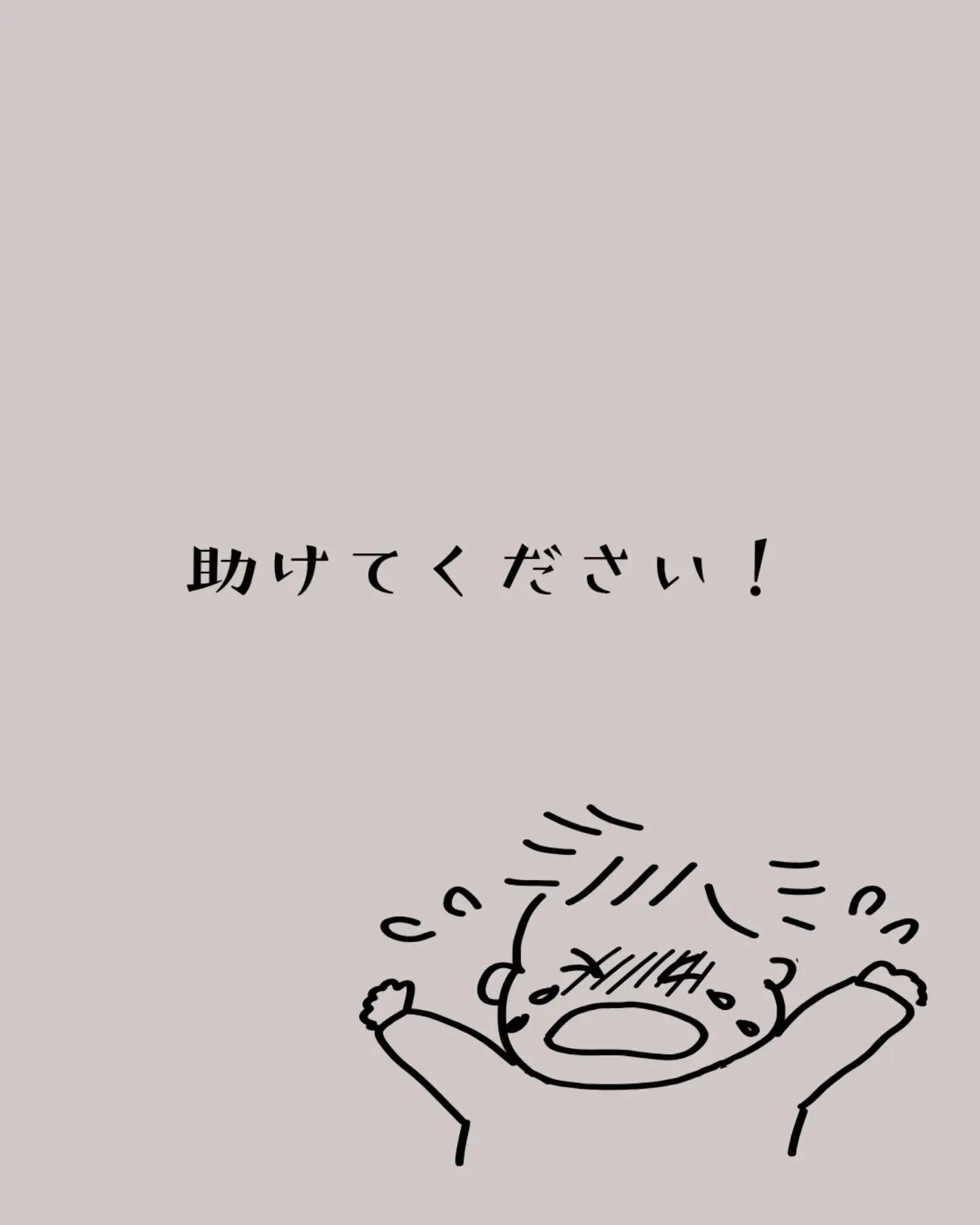 最新情報画像