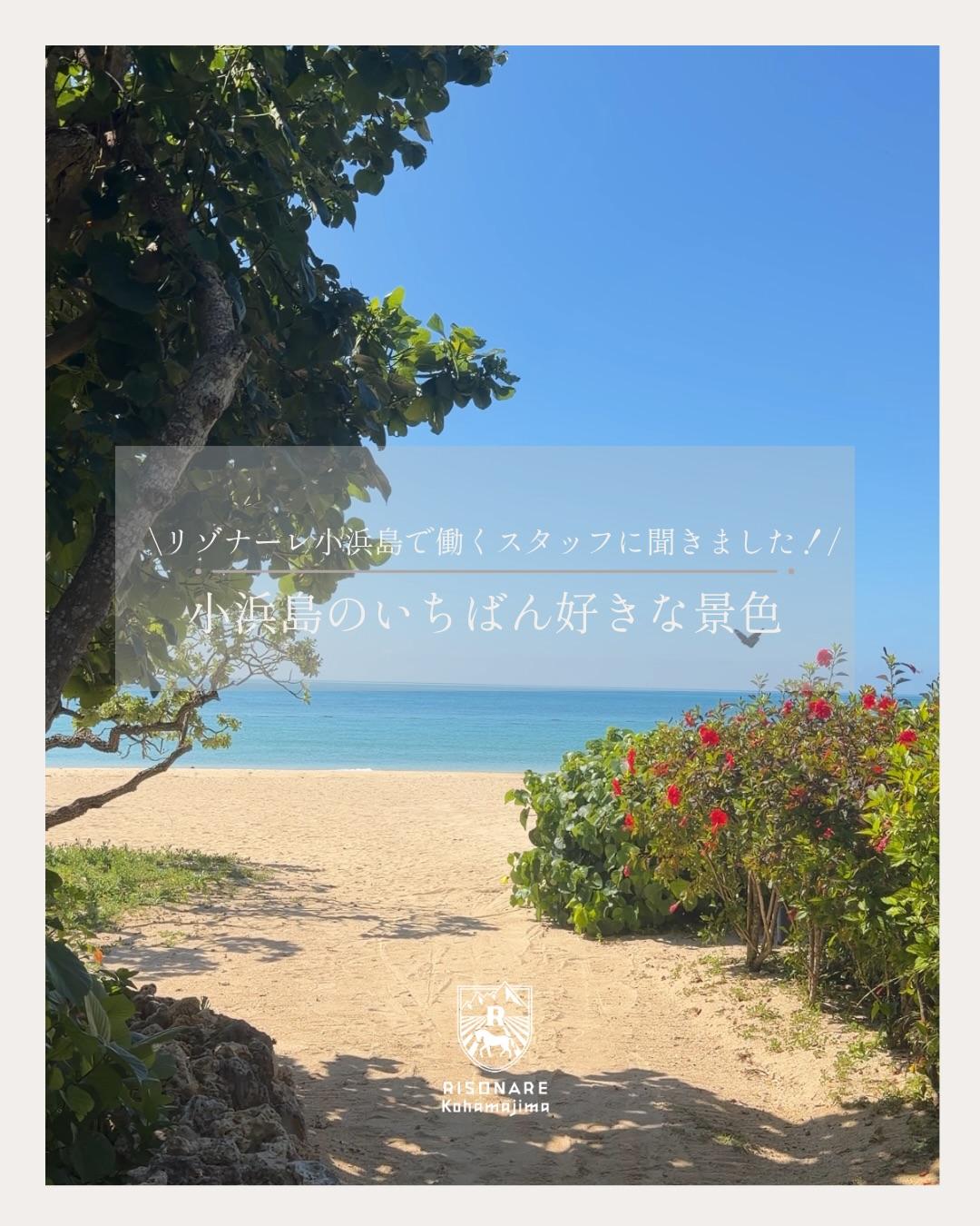 最新情報画像