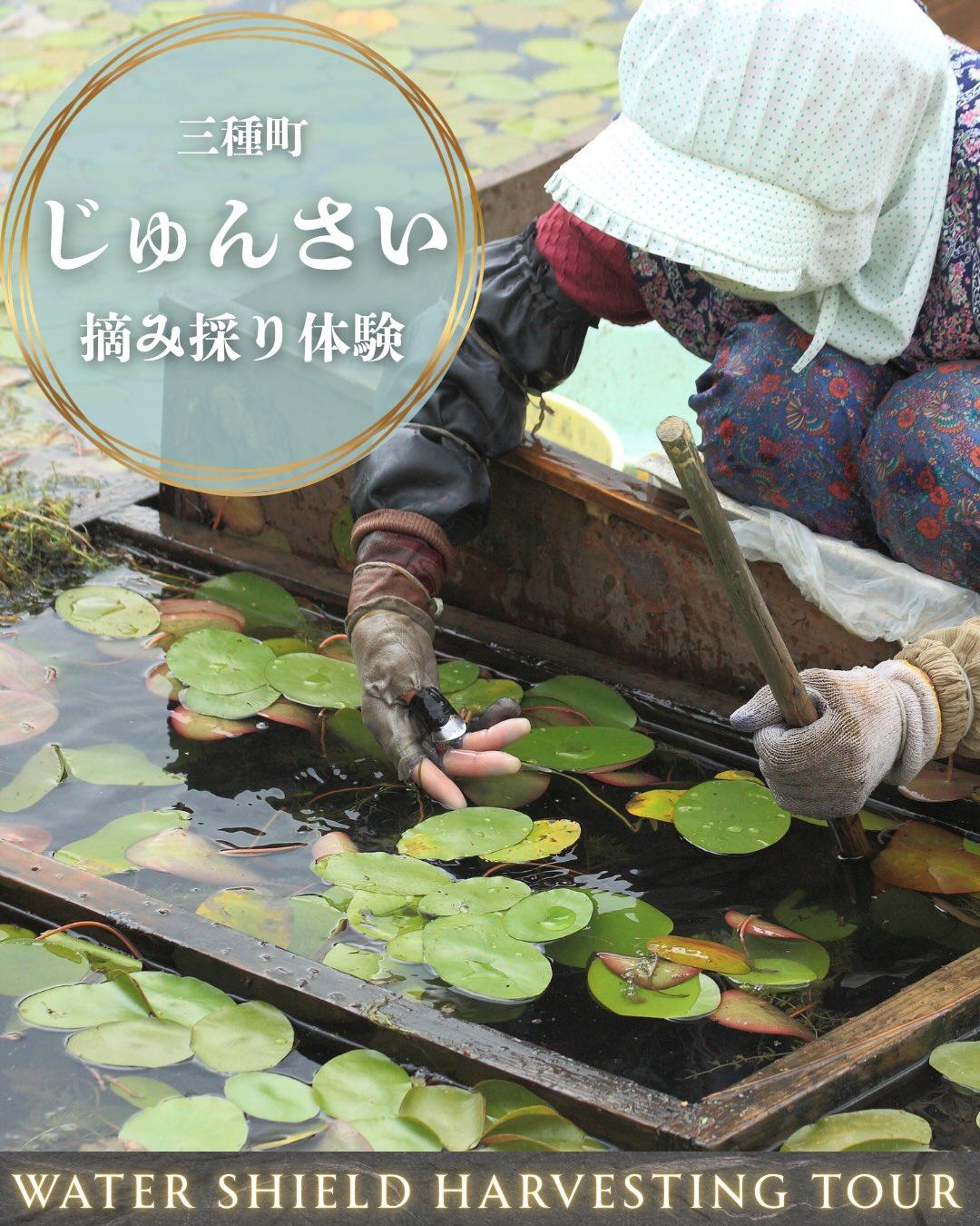 最新情報画像