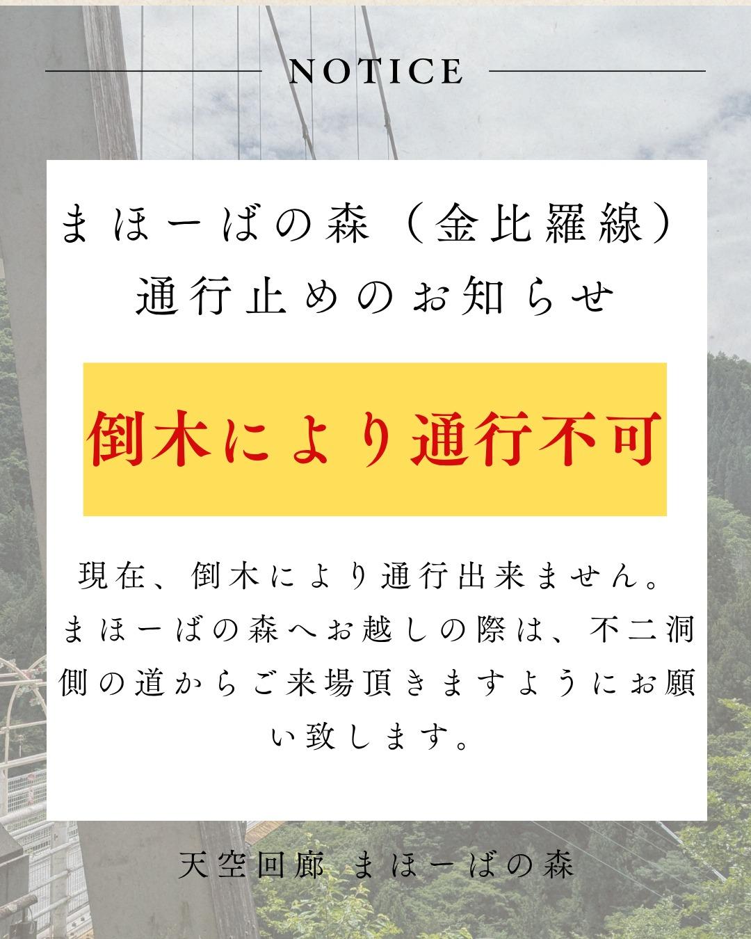 最新情報画像