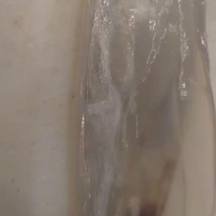 最新情報画像
