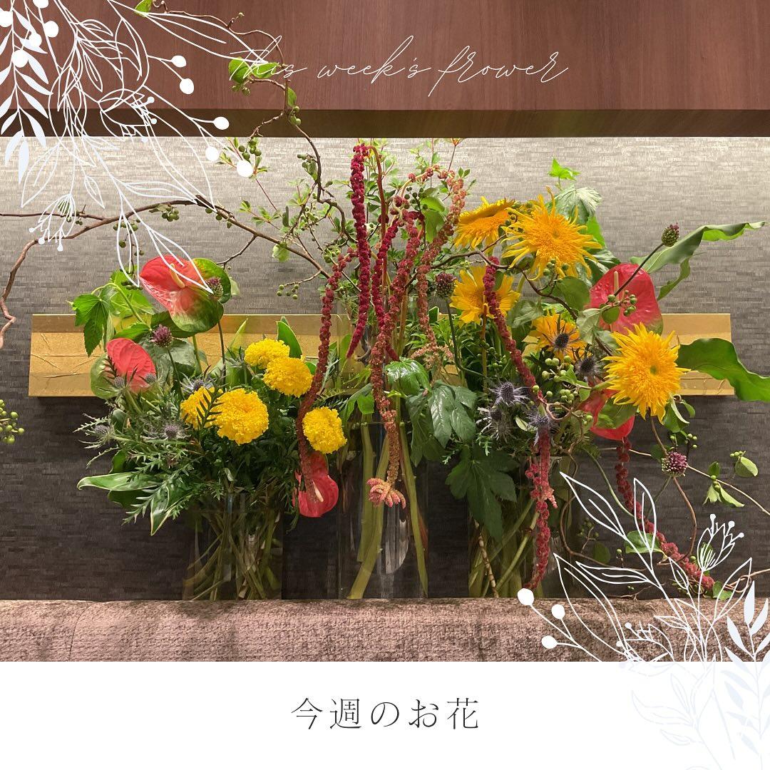 最新情報画像