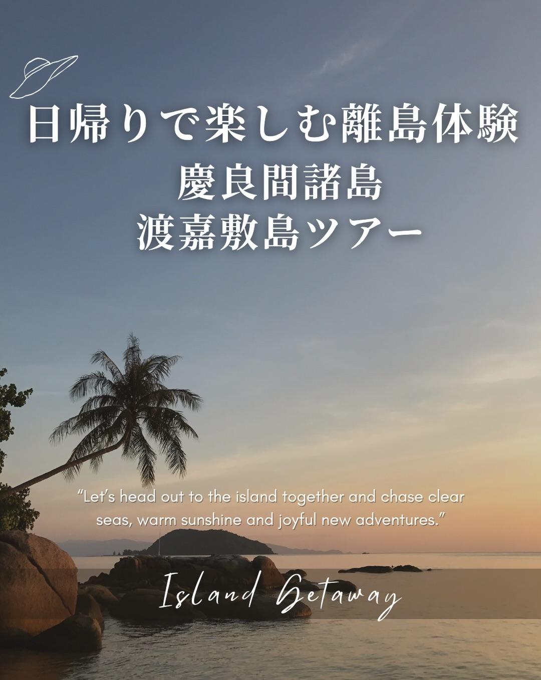 最新情報画像