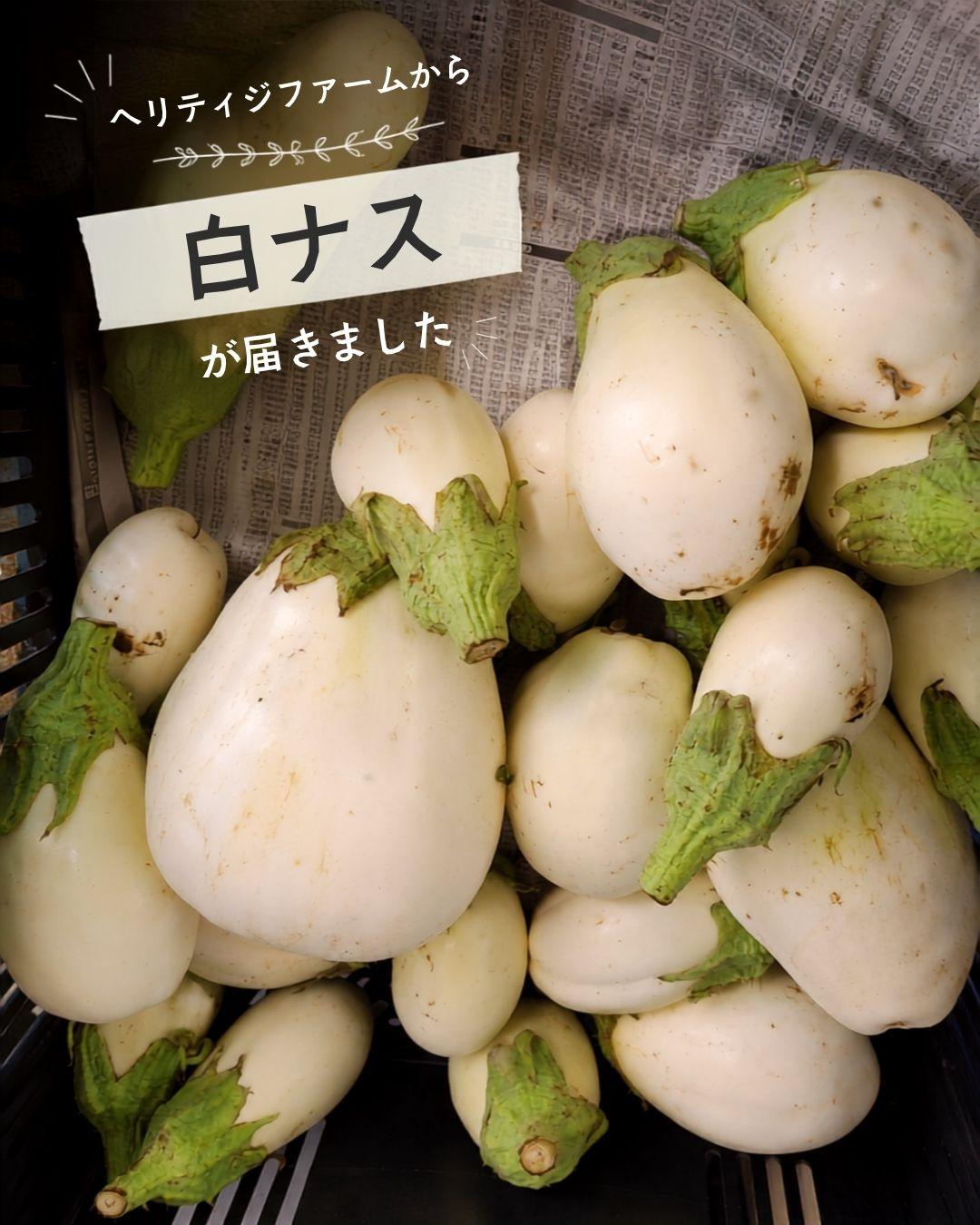 最新情報画像