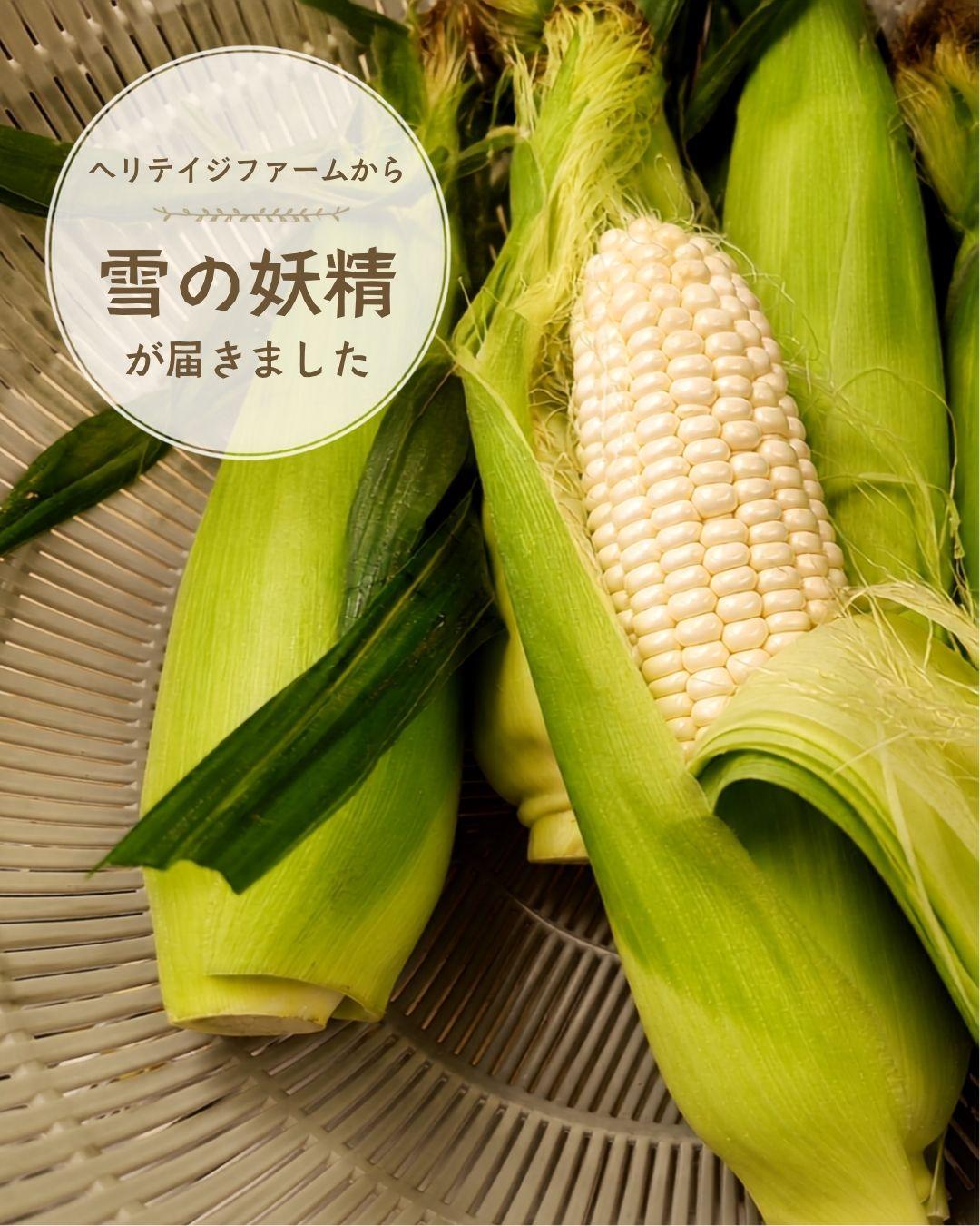最新情報画像