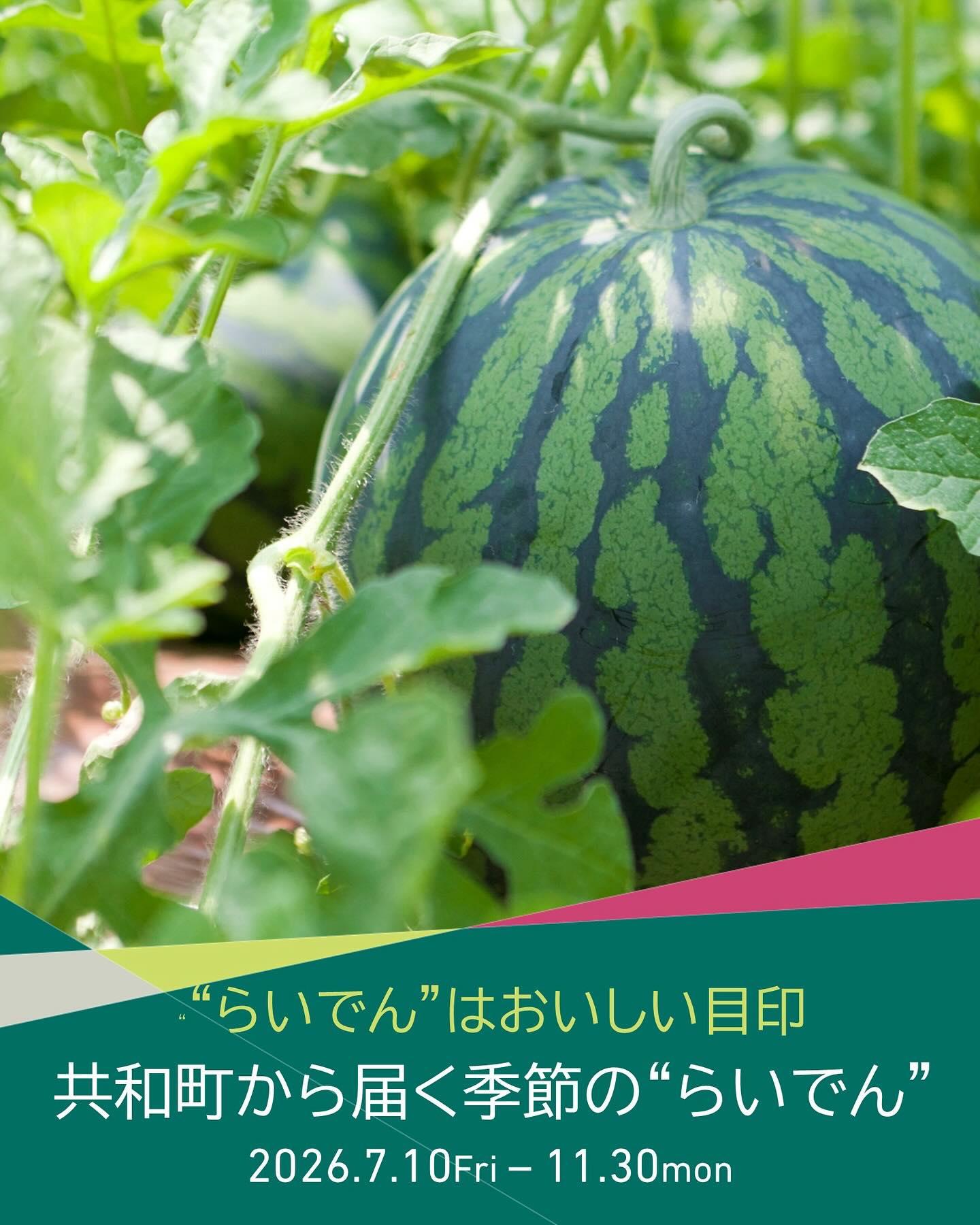 最新情報画像