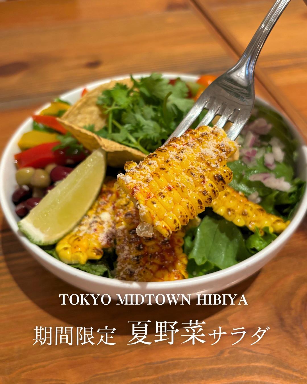 最新情報画像