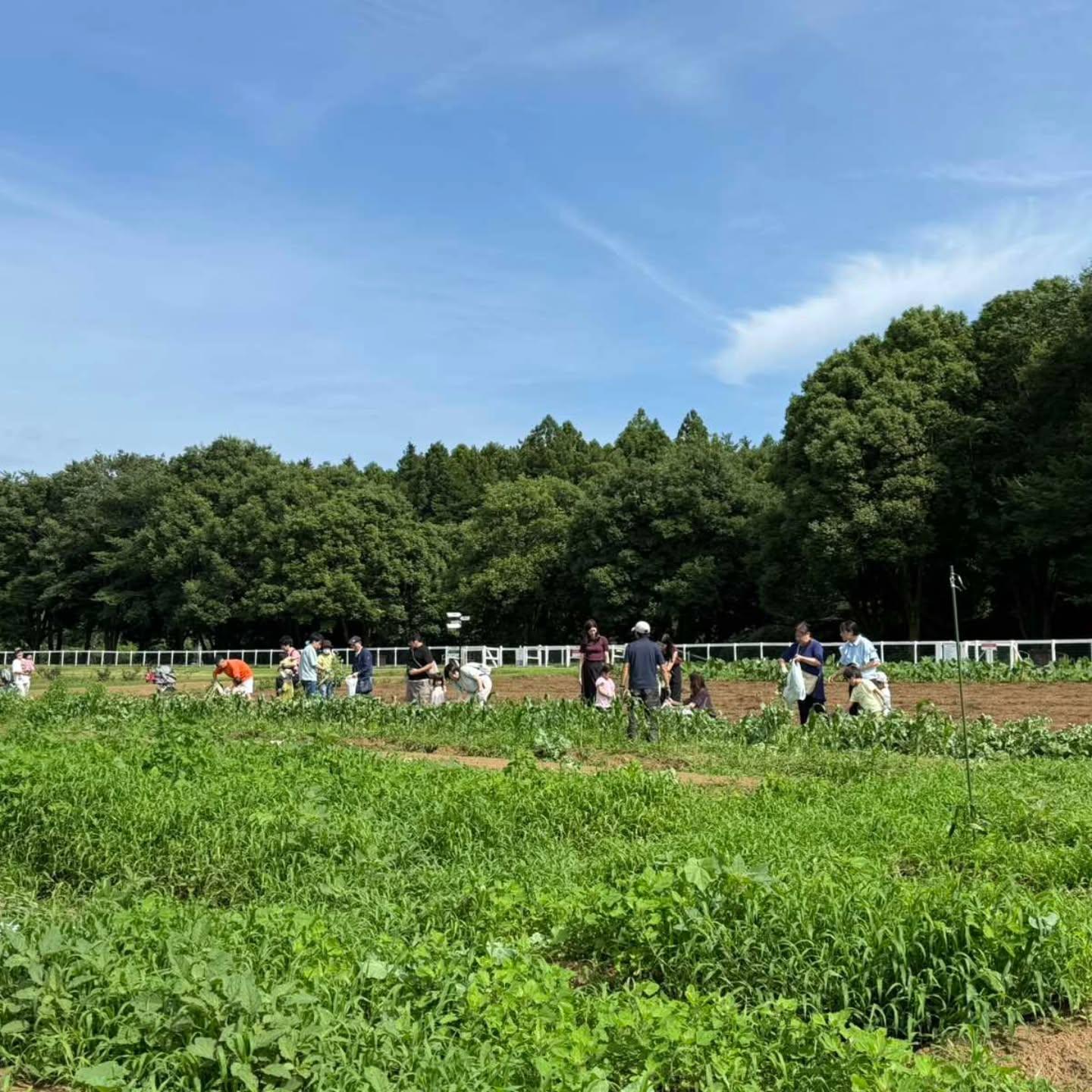 最新情報画像