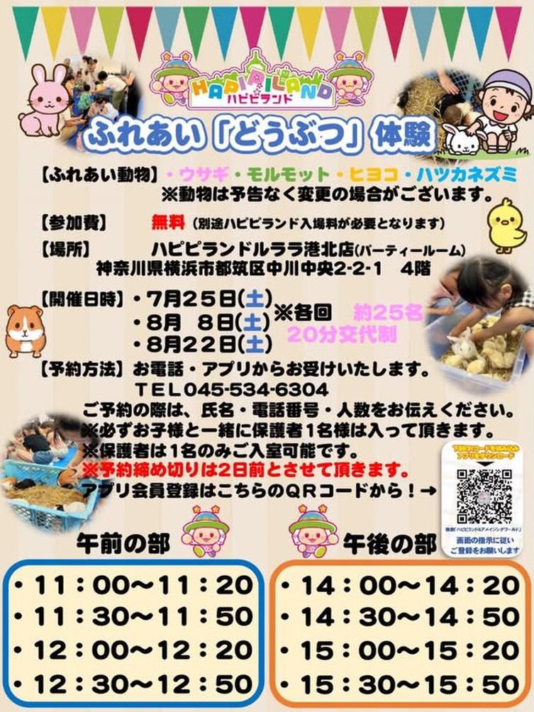 最新情報画像
