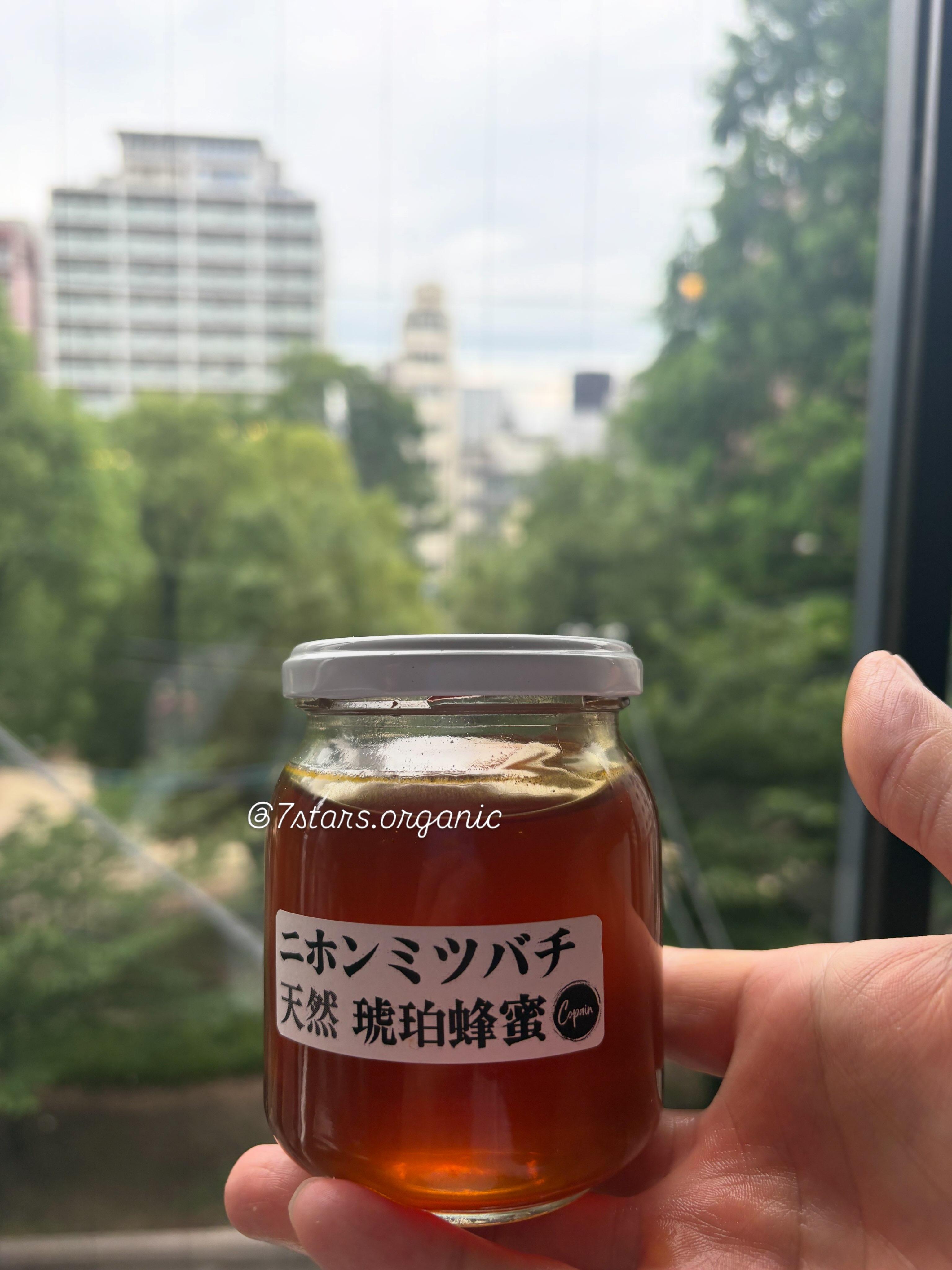 最新情報画像