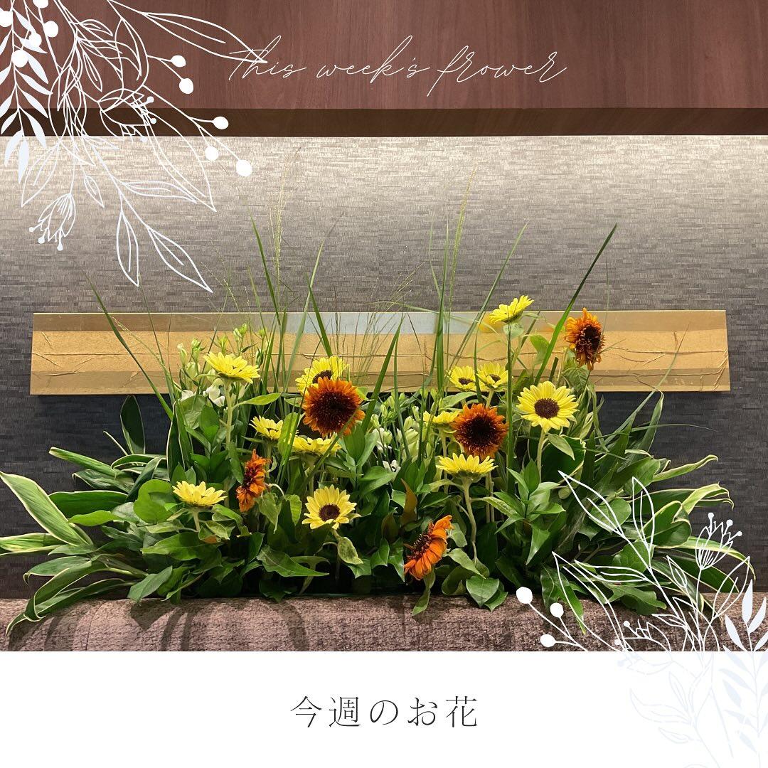 最新情報画像