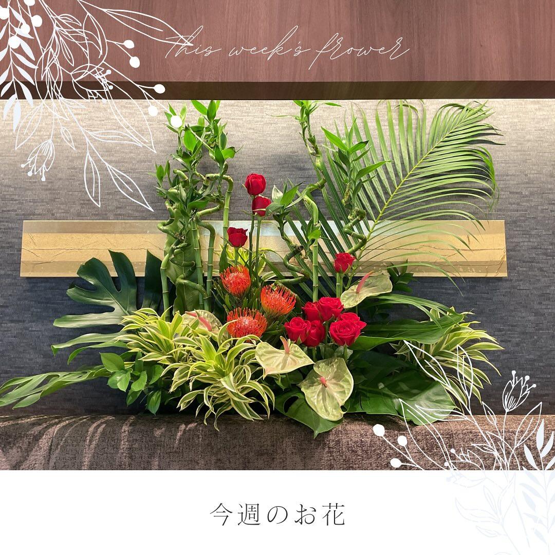 最新情報画像