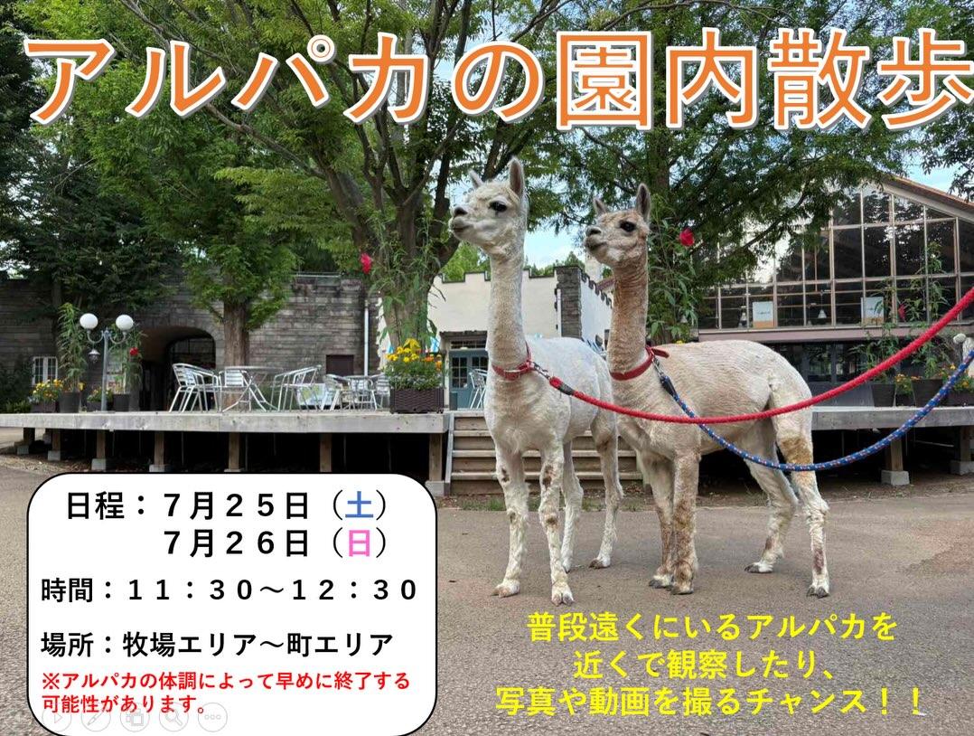 最新情報画像