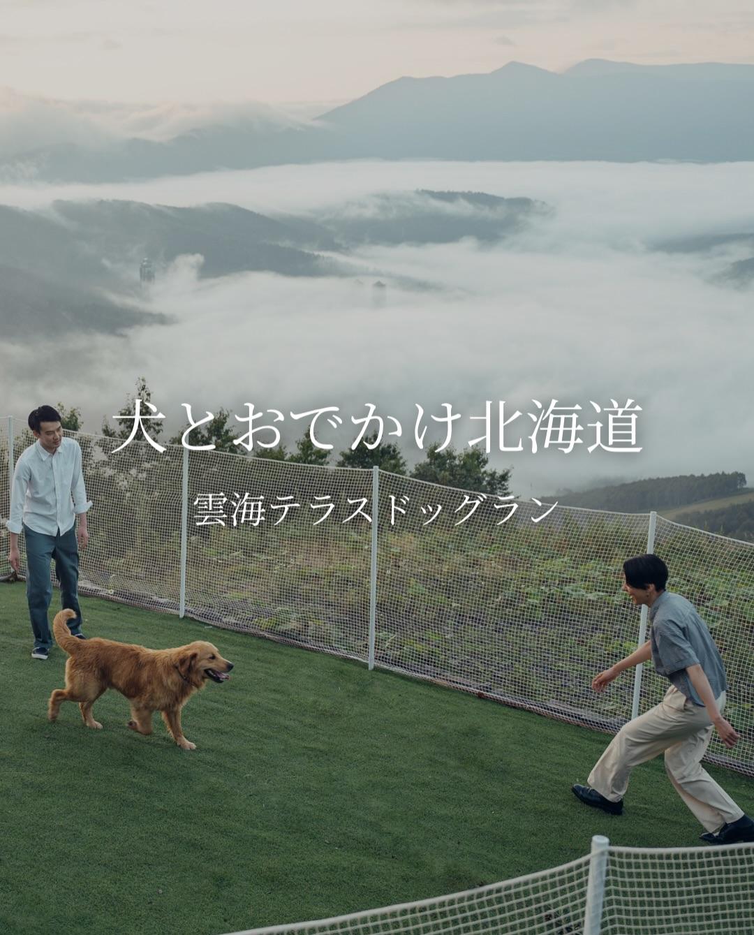最新情報画像