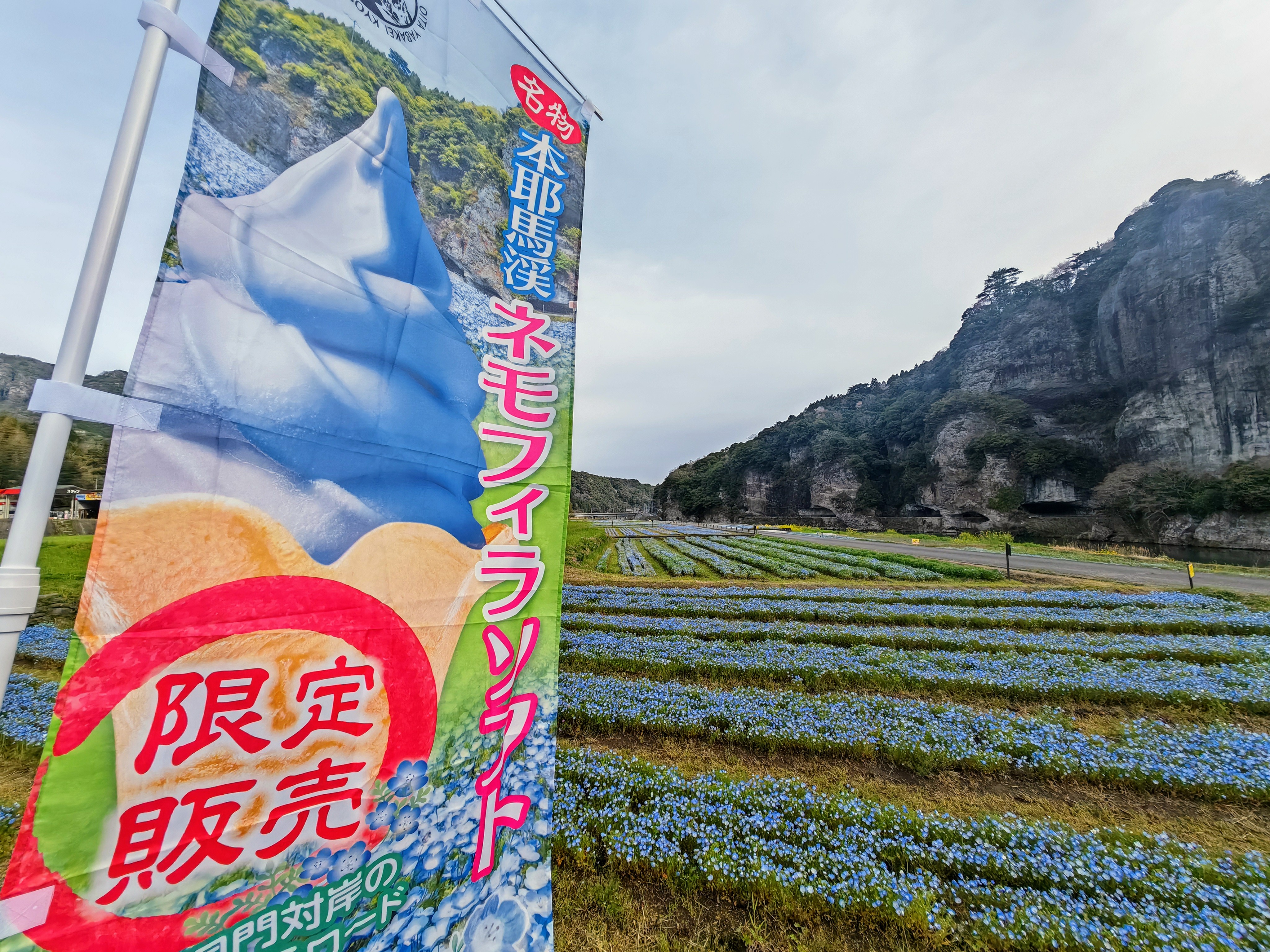 最新情報画像