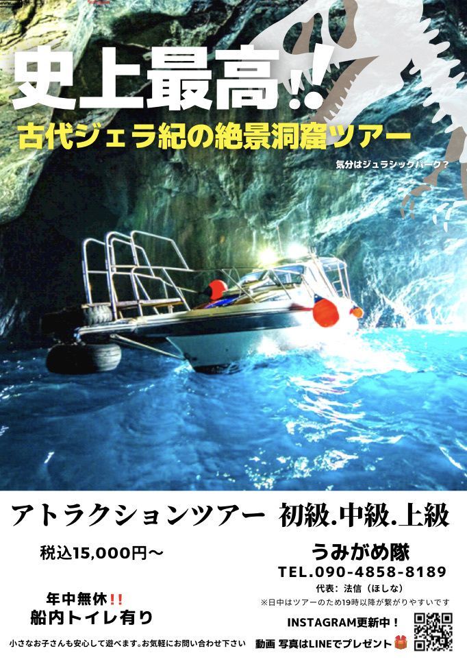 うみがめ隊 