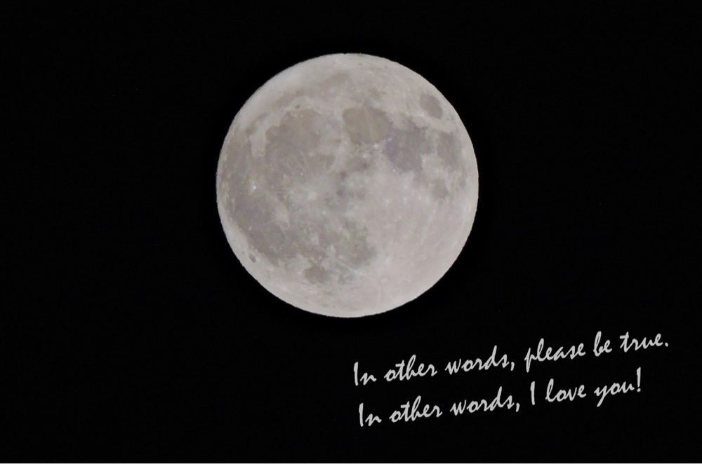 Moon