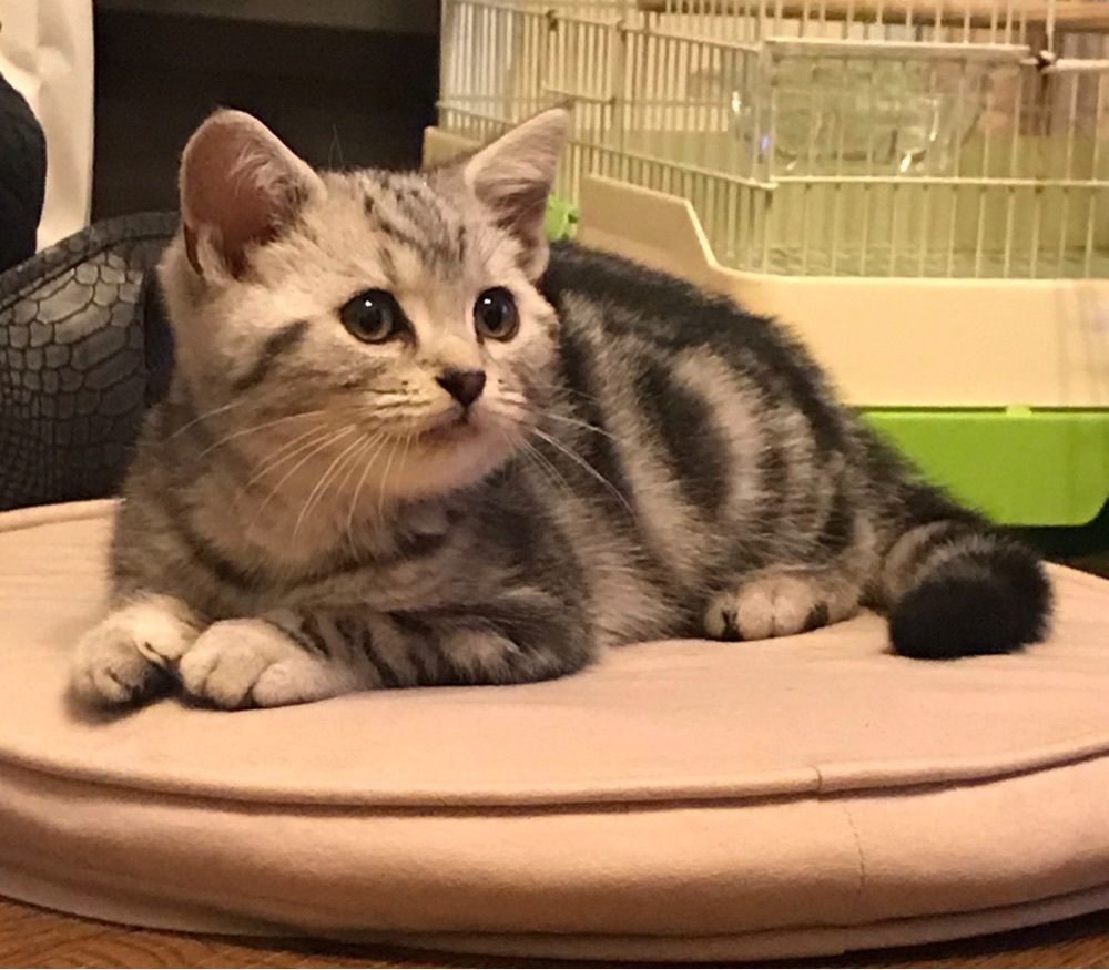じゅん
