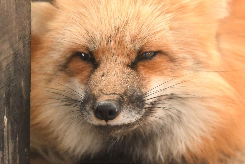 たおハウス