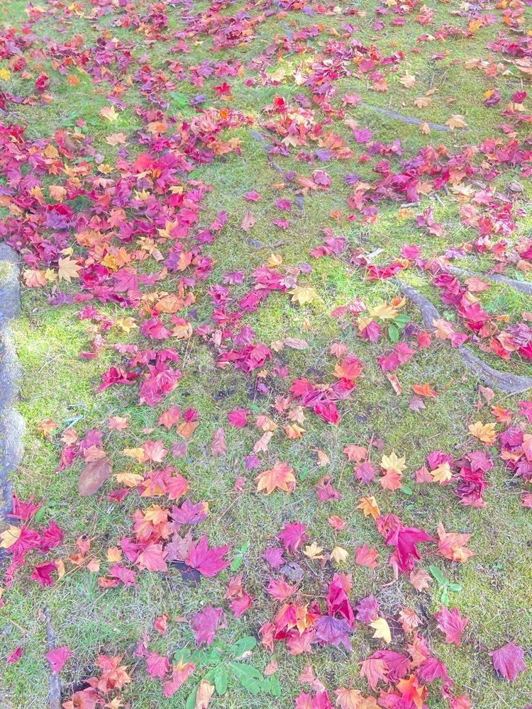 nao