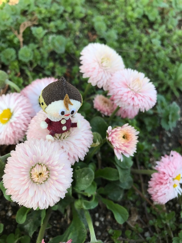 やまくり