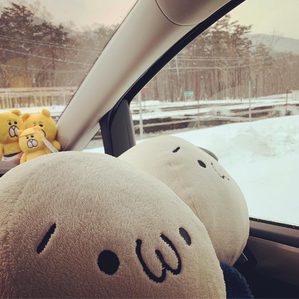 かっぱメロン