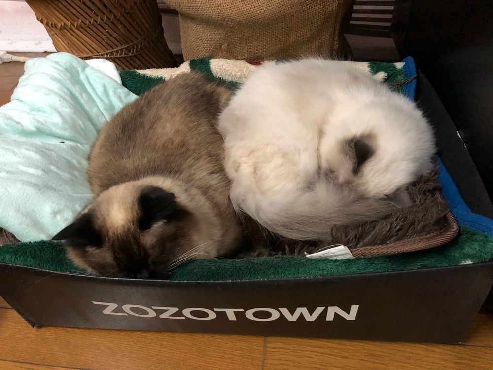 ニル