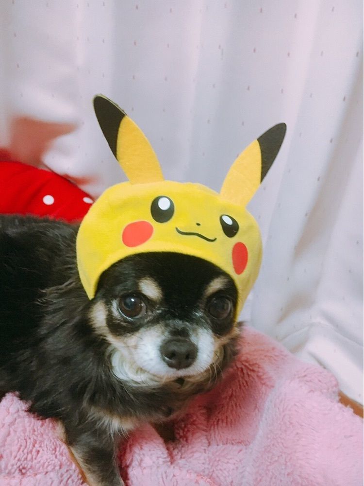 ピロピロ♂