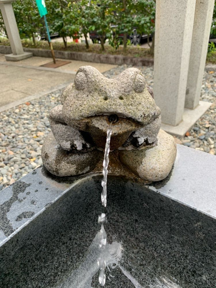 やなせゆうき