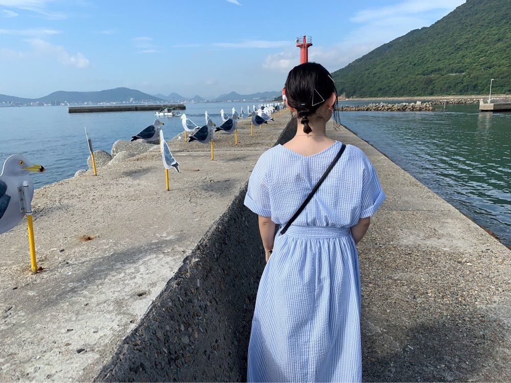 あざらしぺんぎん
