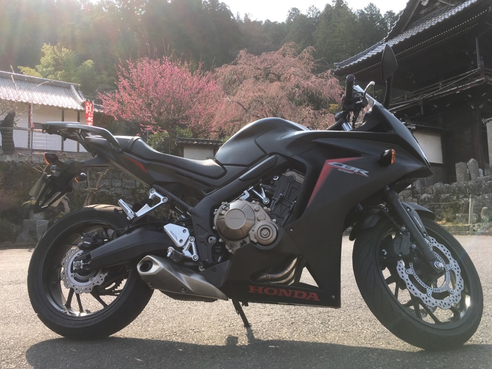 貪欲ライダー