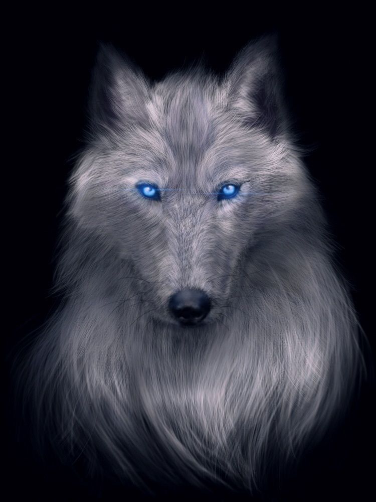 akiwing 