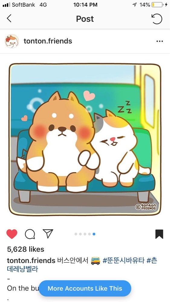 marimo_53