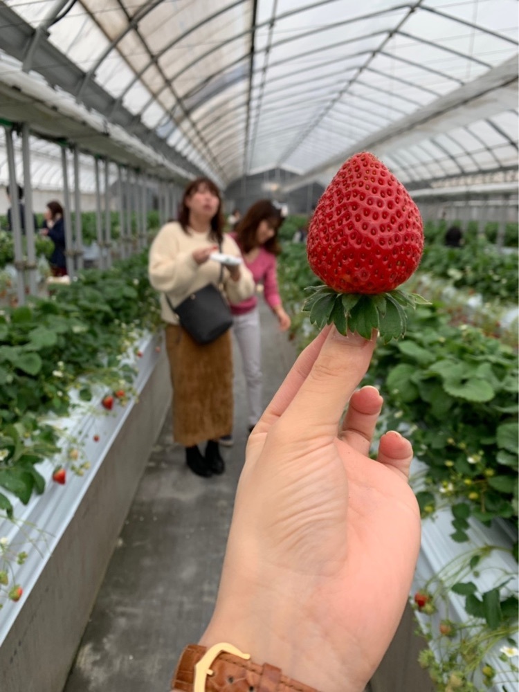 ことさん