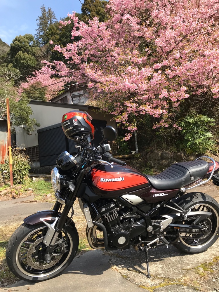 Z900RS1987